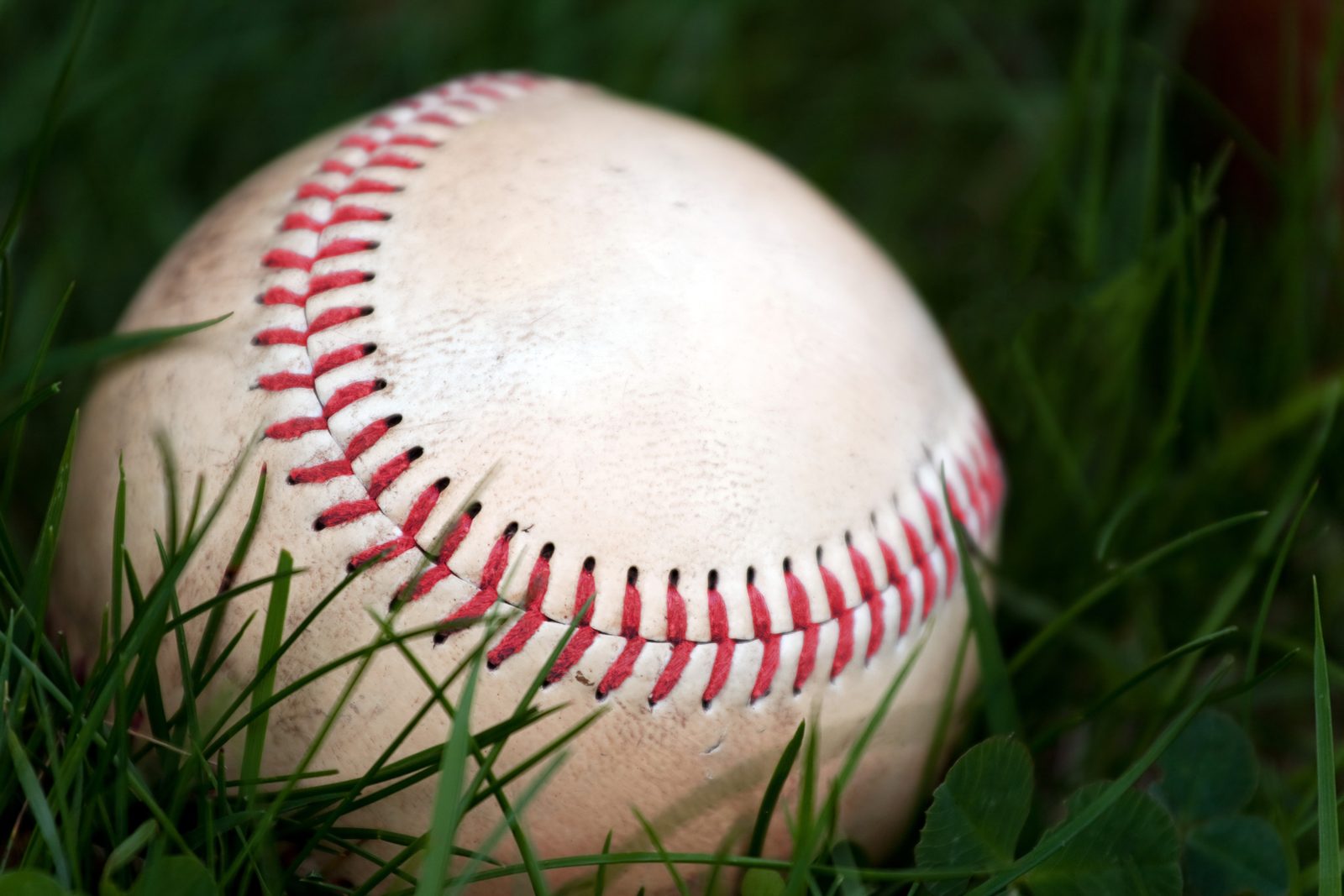 Charlotte High School Athletics Navigate New Programs Amid District Transition