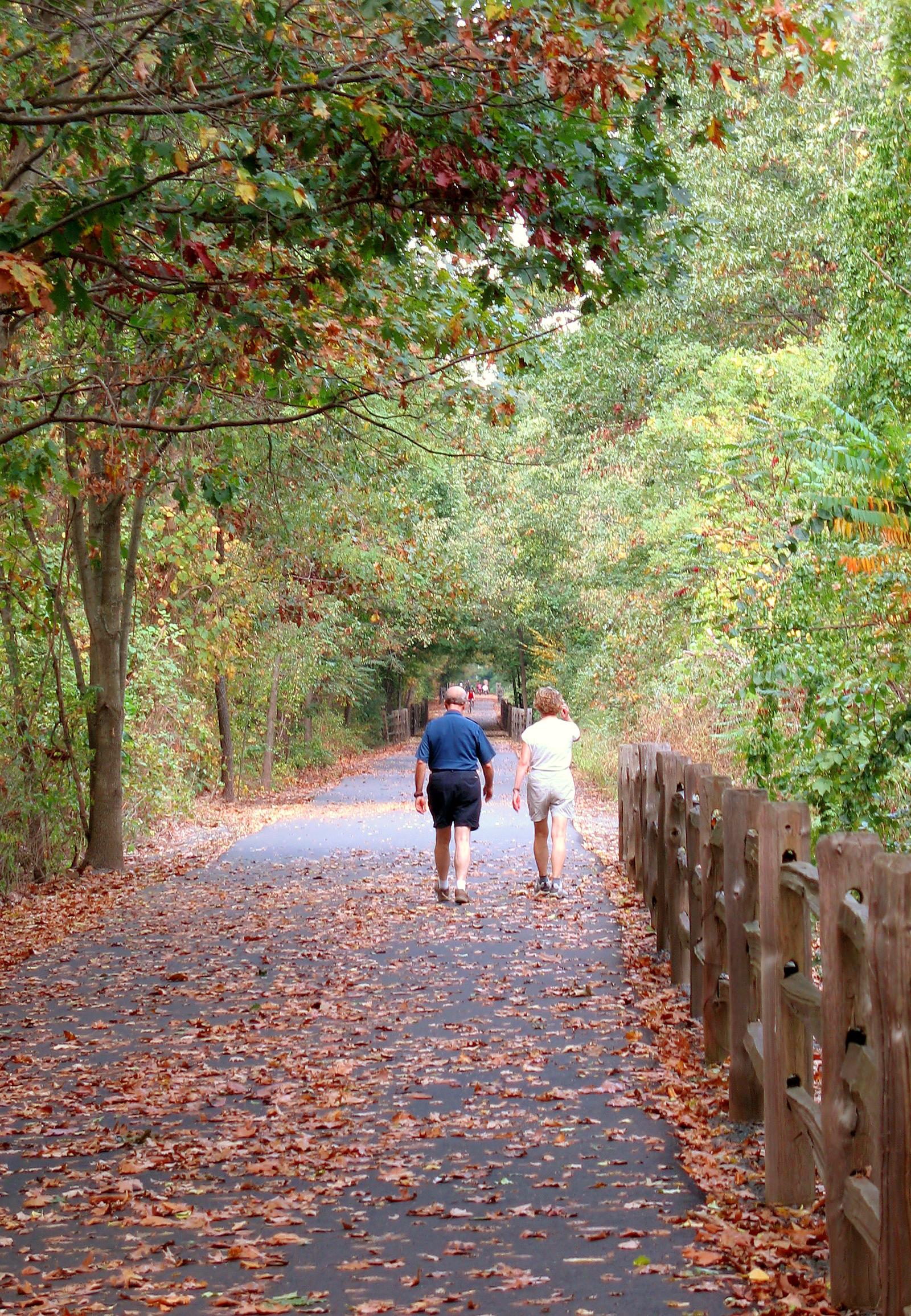 Charlotte Hosts 12+ Community Fitness Events This Season