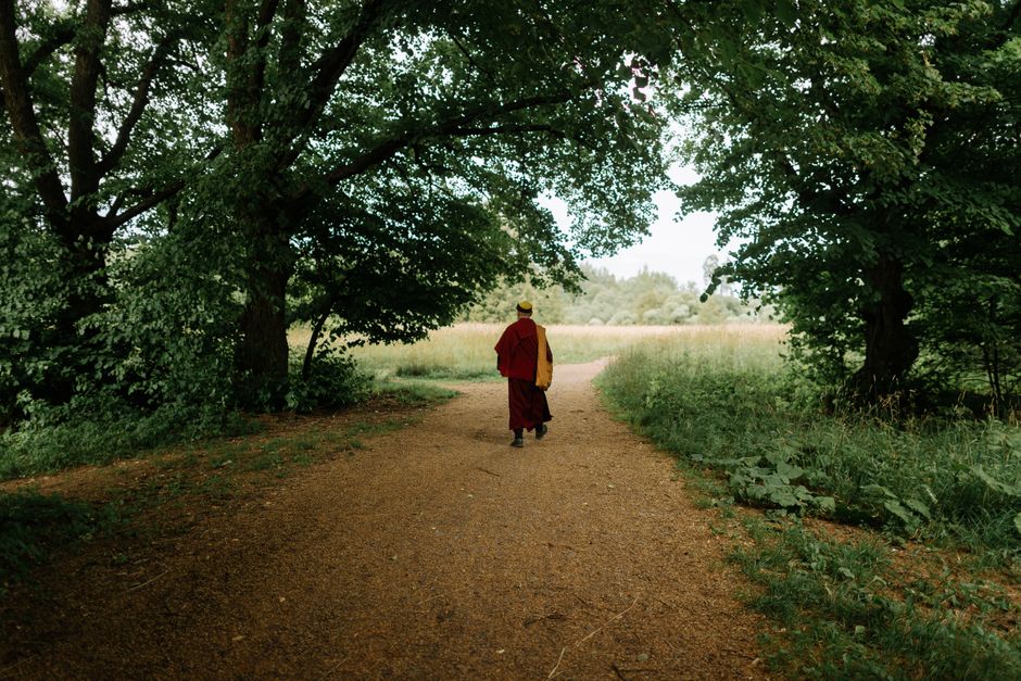 Walking Meditation: How to Turn Your Daily Walk Into Mindfulness
